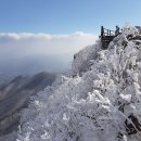 남덕유산, 영각사/남덕유산/서봉/영각사 가는 길의 설경 이미지