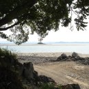 나문재관광농원 이미지