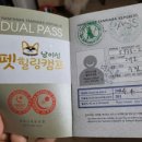 와우여행사주 이미지