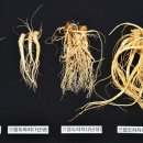 백곡슈퍼