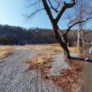 사정농장 이미지