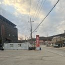 100세흑염소 이미지