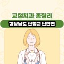 근공인중개사사무소 | 경상남도 산청군 신안면 교정치과 총정리