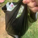괘방령로 | 충북 영동 송어 맛집 송어한마리 방문포장 후기