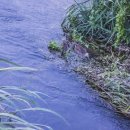 금호강2 이미지