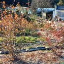 솔숲농원 이미지