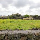 돈사돈제주월정리점 이미지