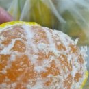 이음푸드협동조합 이미지