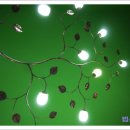 축령산휴양림입구 이미지