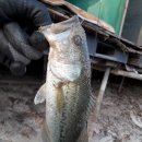 도하저수지 이미지