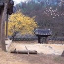 광고나라 이미지