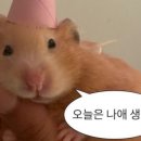쇼텐 이미지