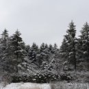 문막(강릉) 이미지