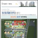 느티나무길>금강공원길 이미지