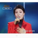 쎄미헤어 이미지