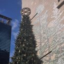 바다가 그리운 나무 | 평범한 10월 같은데... 10월의 중순 주말일기(평택 농업생태원 경기정원박람회, 푸르지오아트홀 방문후기)