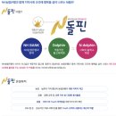 농협 은행 홍보대사 (N돌핀) 서류전형 합격 꿀팁 ! 💚