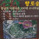 소나무 한우 목장 | 맛과 여유로움을 찾아 다녀온 당일치기 충청도 여행