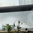 척척병원 | 주손척척의원에서 내성발톱 치료 후기.