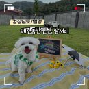 별찌펜션 | [경상남도/밀양] 애견동반펜션, 삼서리