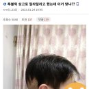 상고 Daum카페