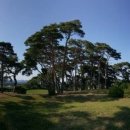 나정펜션 이미지