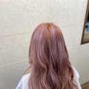 베이지해 이미지