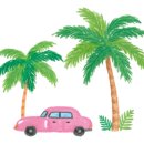 오즈펫살롱 이미지