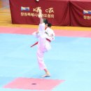 한마합포태권도 네이버블로그