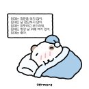 금성민박 | 매트리스 브랜드 비교 - 씰리(Sealy) 선택 이유