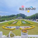 외도 보타니아 거제 가볼만한곳 해금강 장승포유람선 예약할인 외도입장료 소요시간 인생샷