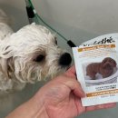 멍멍깍까 이미지