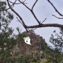 청량동 | 가야산 남산제일봉 등산 후기 [청량동탐방지원센터 → 남산제일봉 원점회귀]