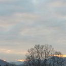 새벽농장 이미지