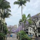 (주)해피브런치 | 시드니 티카 THEECA 브런치 맛집 해피아워 후기(예약 방법, 영업 시간, 해피아워 메뉴)