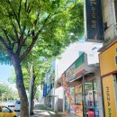 알리바이 금당점 이미지