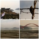 동백 태양광발전소 이미지