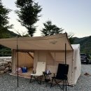 포레스트 월악 이미지