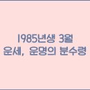 1985 이미지