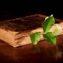 하나큰약국 이미지