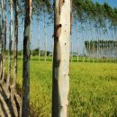 더블에이코리아 이미지