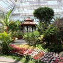 경주동궁원 이미지