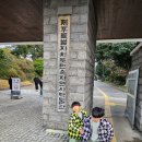제주화석박물관 | [제주시]제주민속자연사박물관 관람 후기
