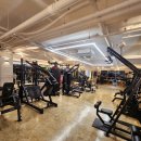 피티그램 이미지