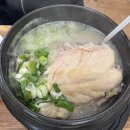 시청역 롯데골드로즈 | 피곤한 하루, 부산시청역 맛집 부원 삼계탕에서 힘 충전 완료