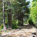 남태령옛길 이미지