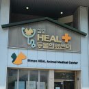 김포24시 힐 동물의료센터 이미지