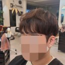 테드헤어 이미지
