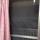 수정-137 Daum카페