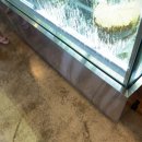 라파(RAPHA) | 경주 N번째 방문자의 아이와 함께 방문한 [노경보차라파] 후기
